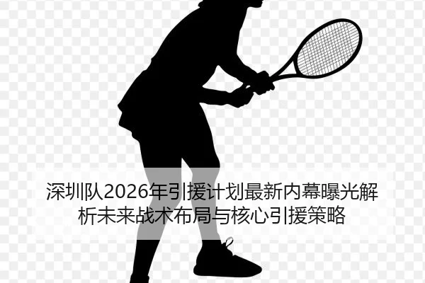 深圳队2026年引援计划最新内幕曝光解析未来战术布局与核心引援策略